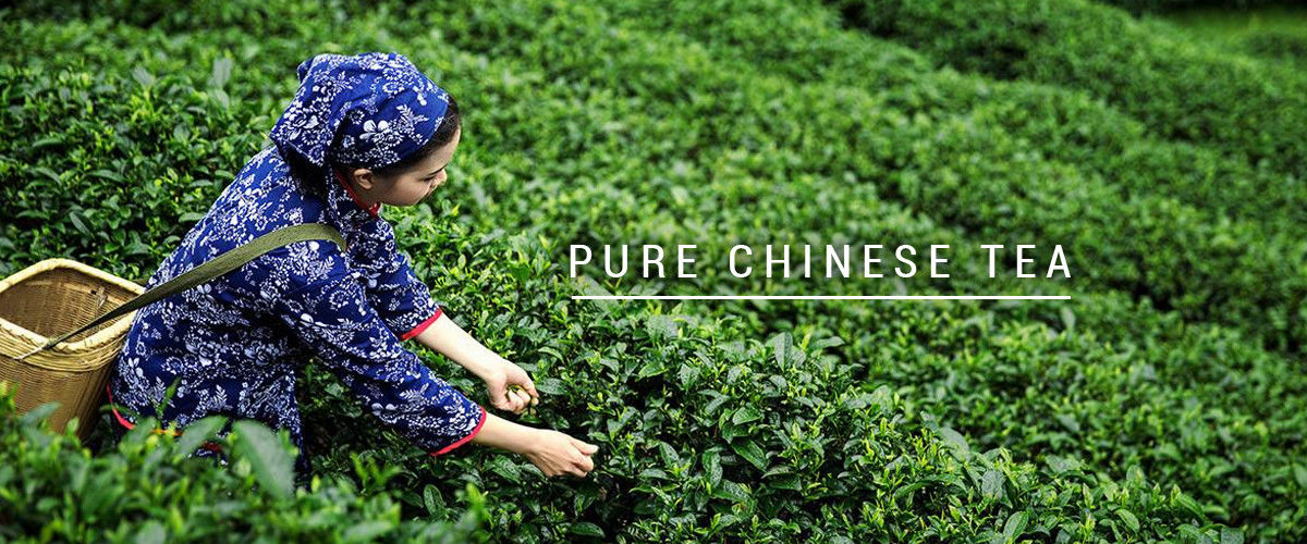Китай самый лучший органический чай oolong на сбываниях