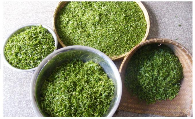 Органический жареный зеленый чай, 150г Зеленый жареный чай для похудения, полезный зеленый чай для похудения